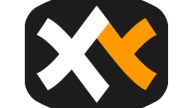 تحميل برنامج تسهيل وتسريع إدارة الملفات والمجلدات والبحث عنها XYplorer للويندوز